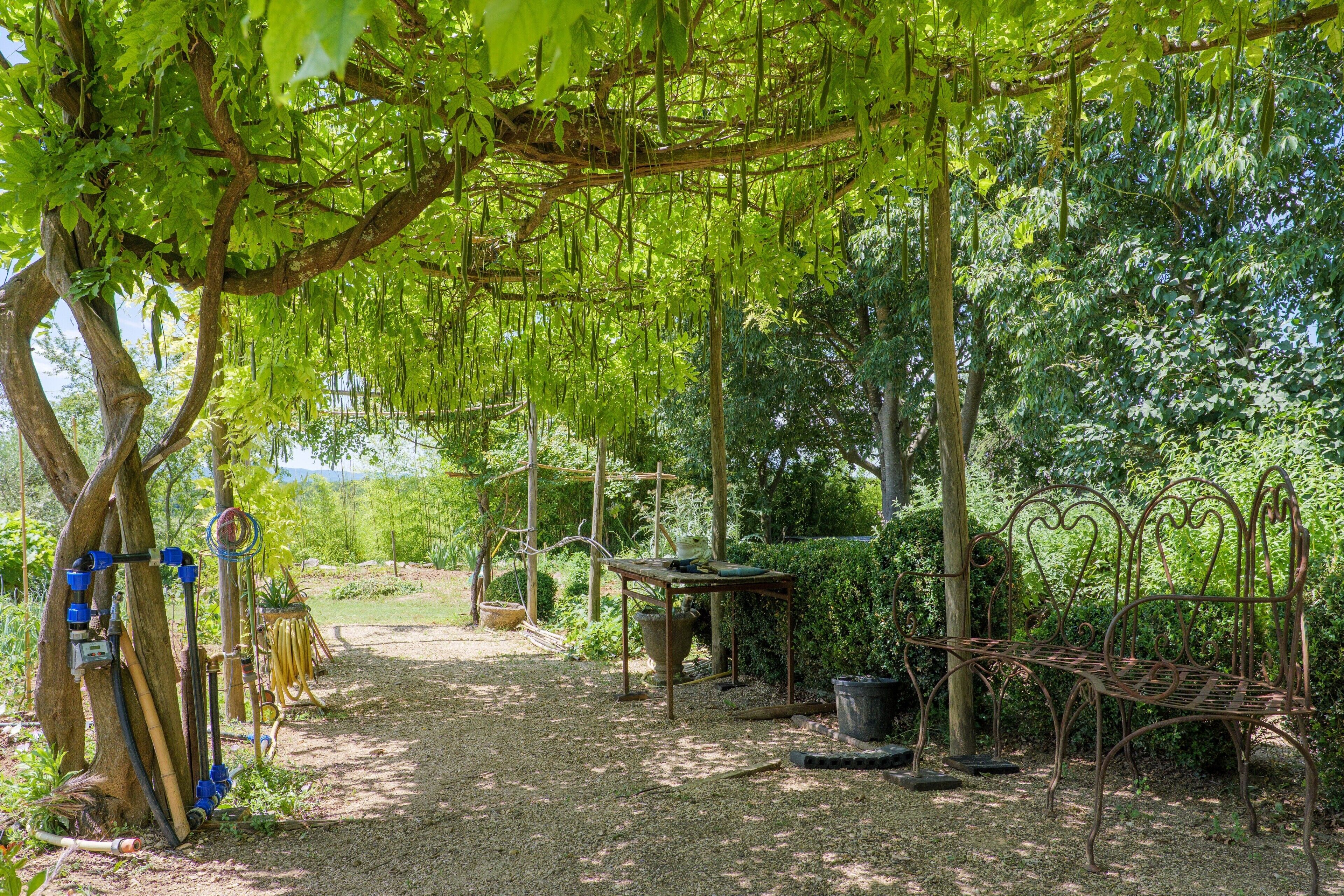 Un jardin avec un banc en métal, une table et un système d’arrosage.