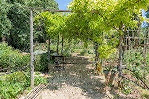A garden with a gravel path, wooden pergola, and potted plants.
