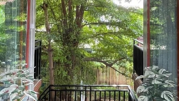 A modern interior with a wooden ceiling, large windows, and a staircase leading to an outdoor area with trees. - Mother's House (Battambang)