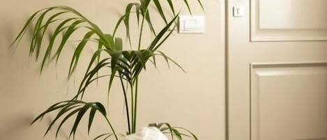 Junior Double Room, 1 Queen Bed, Courtyard View | Minibar, desk, laptop workspace, blackout drapes