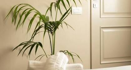 San Benedetto Rooms