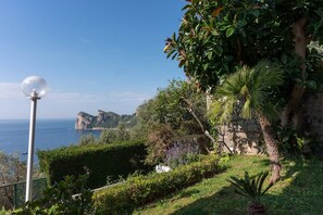 Eine Küstenlandschaft mit freiem Blick auf das Meer, einer Straßenlaterne und üppiger Vegetation.