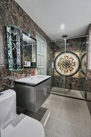 Regadera, secadora de cabello, bidet, toallas 
