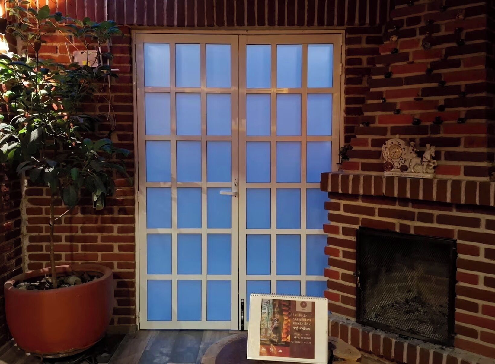 A brick wall with a fireplace, a large potted plant, and a door with frosted glass panels.