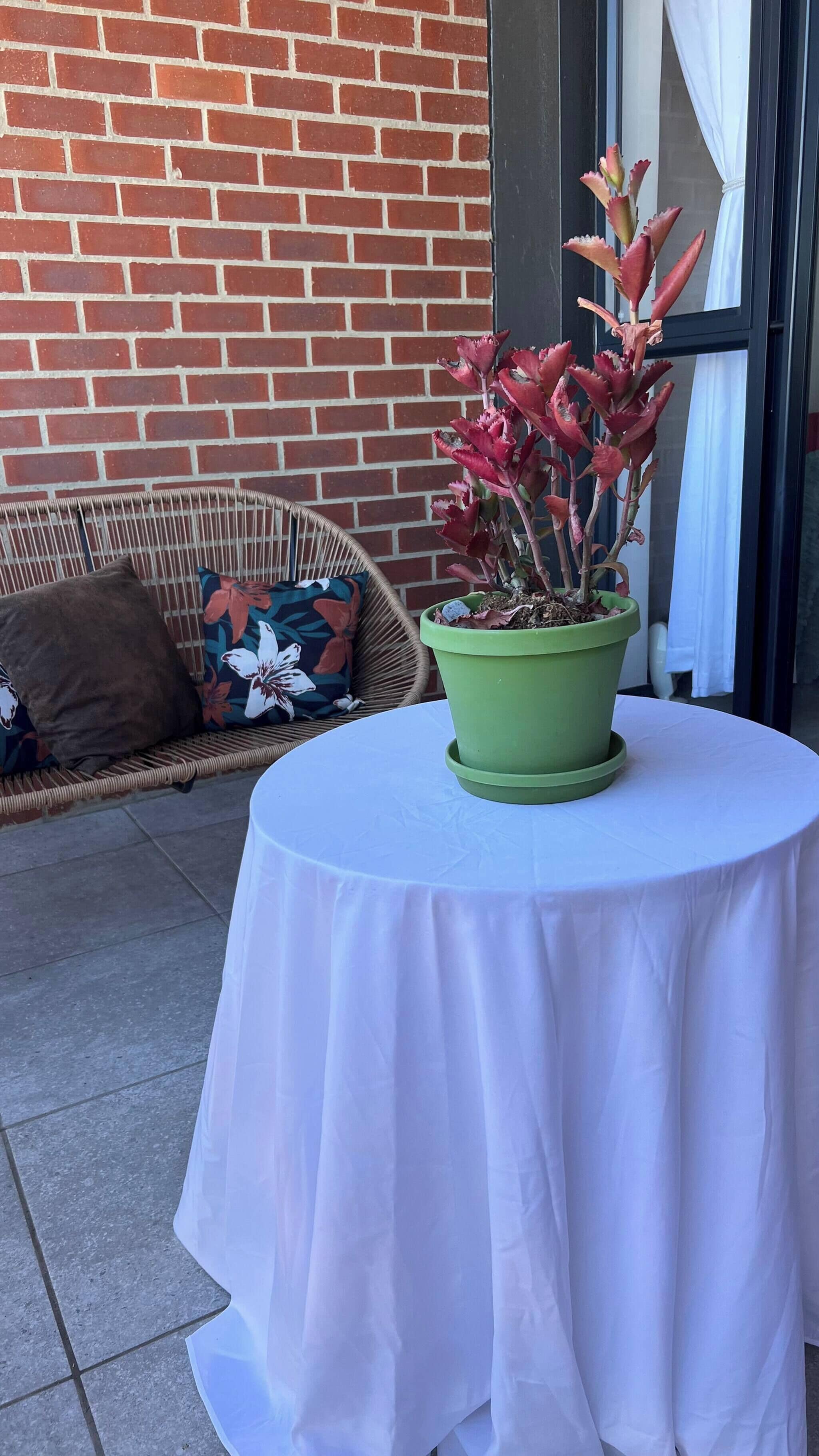 Apartment, 2 Bedrooms, Patio | Property grounds