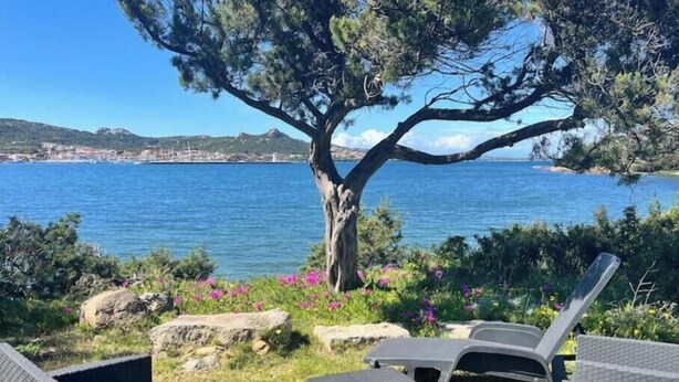 A coastal outdoor seating area with wicker furniture, a tree, and a view of the sea and distant buildings. - Beachfront villa with direct beach access - Costa Smeralda (Arzachena)