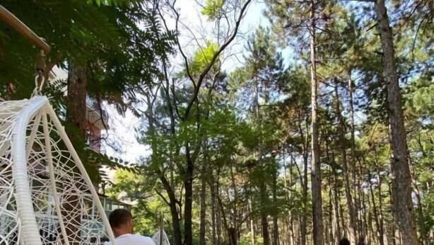 A wooden deck with outdoor seating, surrounded by tall trees. - Hotel Gloria KS (Pristina)