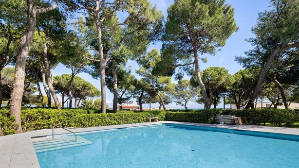 Une piscine entourée d’arbres, sous un ciel dégagé.