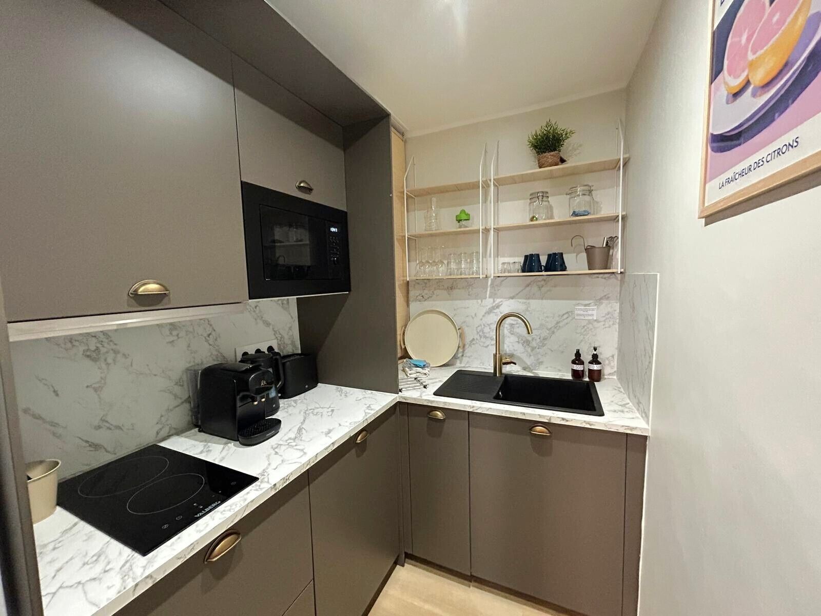 Fridge, microwave, stovetop, coffee/tea maker