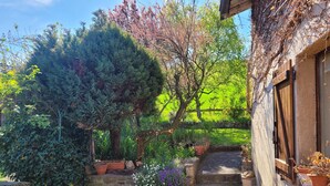 Un jardín con un camino de piedra, plantas en macetas y un banco de madera.