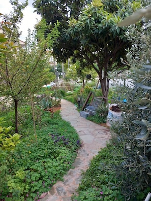 A garden pathway surrounded by various plants and trees. - Pavlos Loft - Garden Views Terrace in Leontari (Pallini)