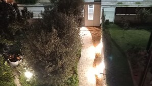 En trappe fører op til et overdækket udendørs område med stenbelagte gulve og plantekasser.
