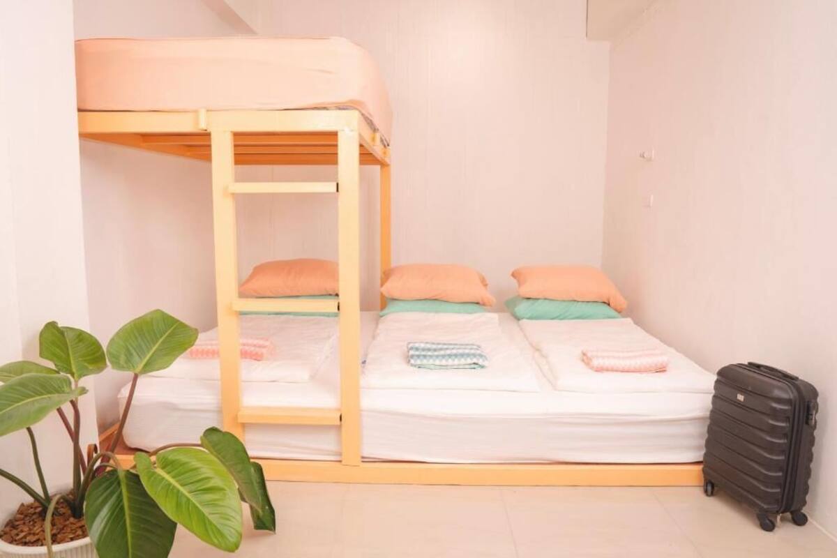 Habitación con literas, una escalera de madera, dos almohadas, una maleta y una planta en maceta.