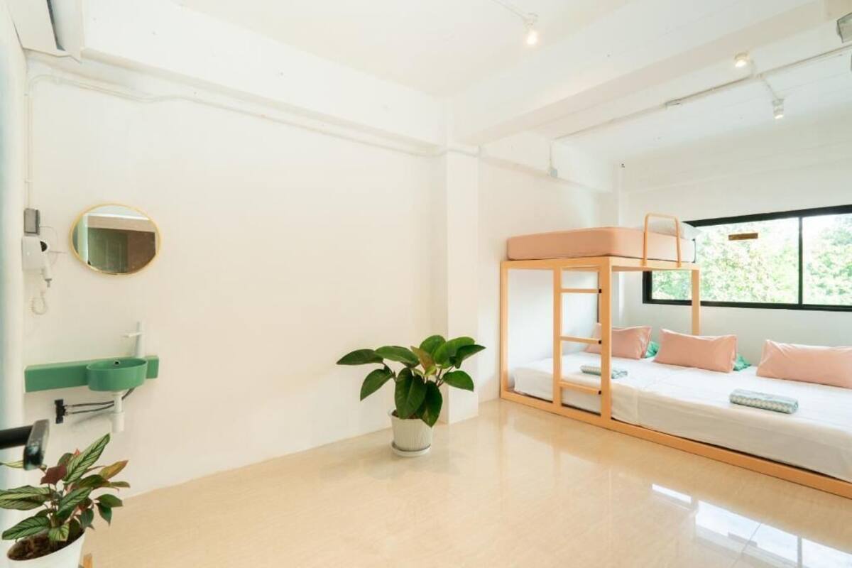 Una habitación moderna con una litera, un lavamanos pequeño, un espejo y una planta en maceta.