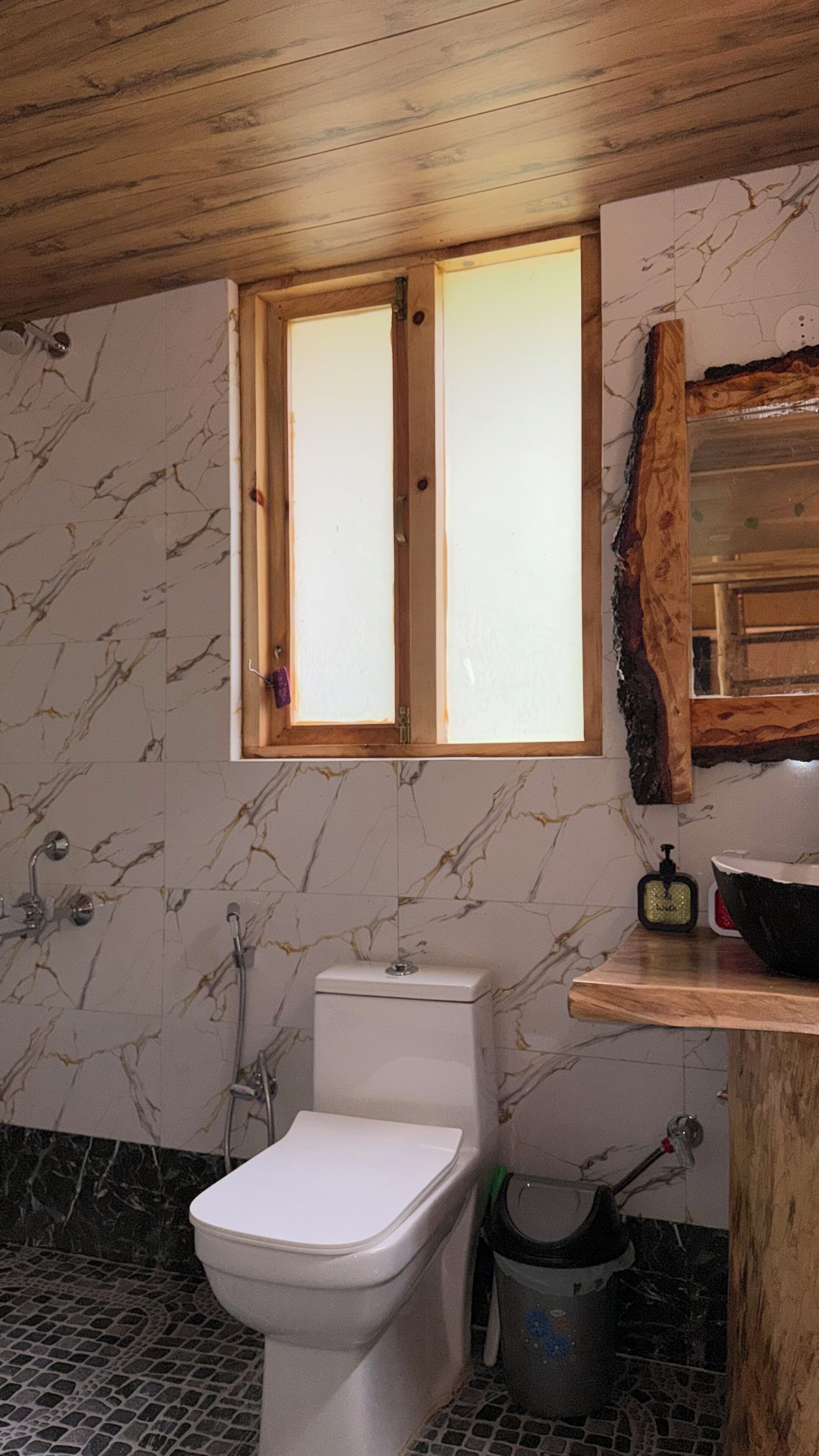 Shower, jetted tub, hair dryer, towels