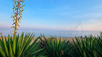 Playa en los alrededores