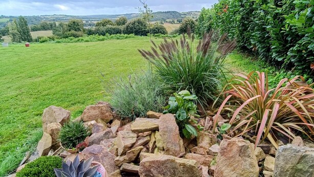 Un jardín con diversas plantas y rocas, un campo cubierto de césped al fondo y una vista distante de colinas.