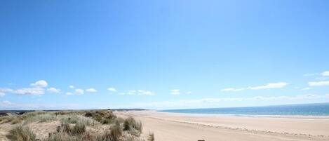 Playa