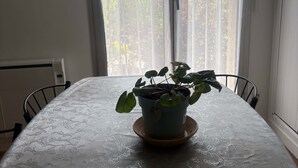 A table with a potted plant in the center, a radiator on the wall, and a window with blinds. - Chic city center studio, parking - 2 guests (Sablé-sur-Sarthe)