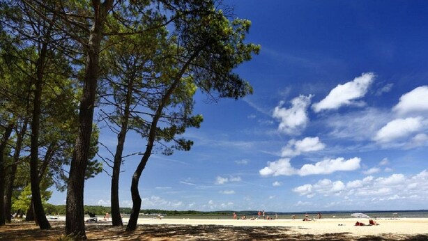 Una spiaggia con alberi, cielo sereno e un’area sabbiosa.