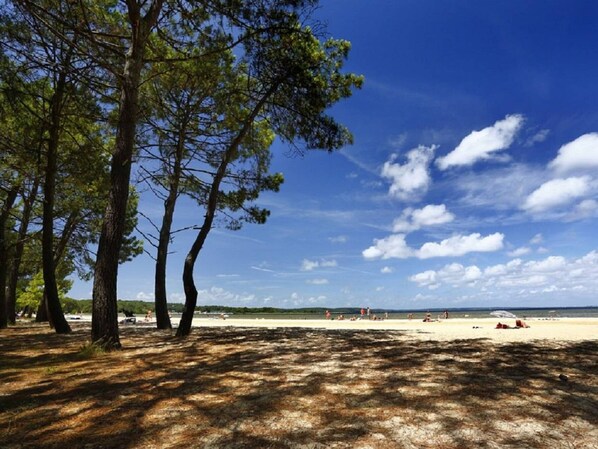 Ein Strand mit Bäumen, blauem Himmel und einem sandigen Bereich.