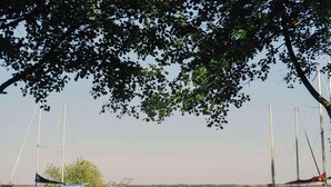 A marina with multiple sailboats docked, surrounded by trees and a calm body of water.