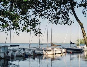 Ein Yachthafen mit mehreren dort vertäuten Segelbooten, umgeben von Bäumen.