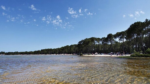 A beach with clear water, a sandy shore, and a line of trees in the background. - Charming house in Navarrosse - 6 guests (Biscarrosse)