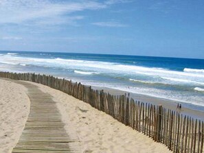 Beach - Charming house in Navarrosse - 6 guests (Biscarrosse)