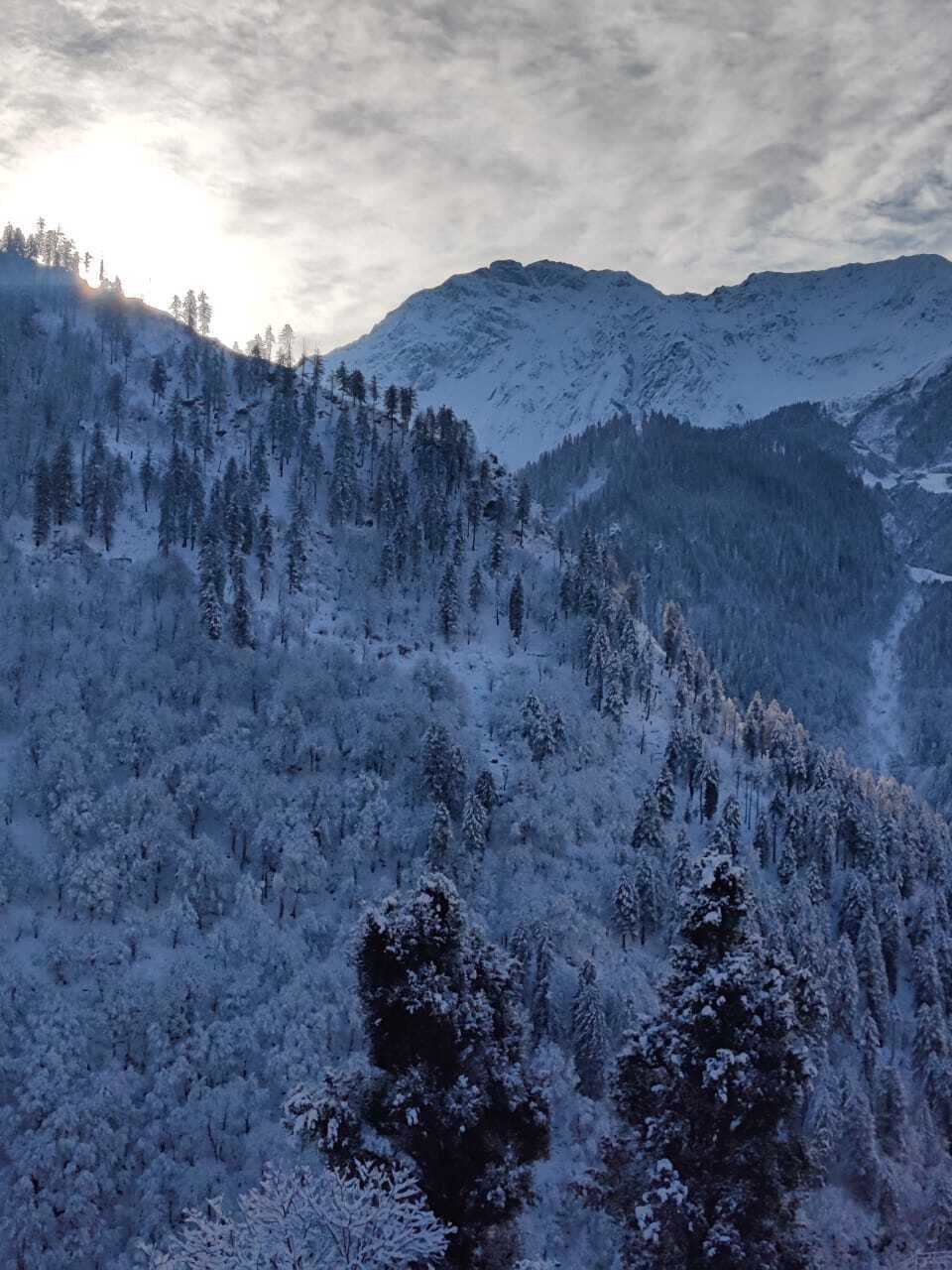 Paisaje montañoso con árboles nevados y cielo despejado.