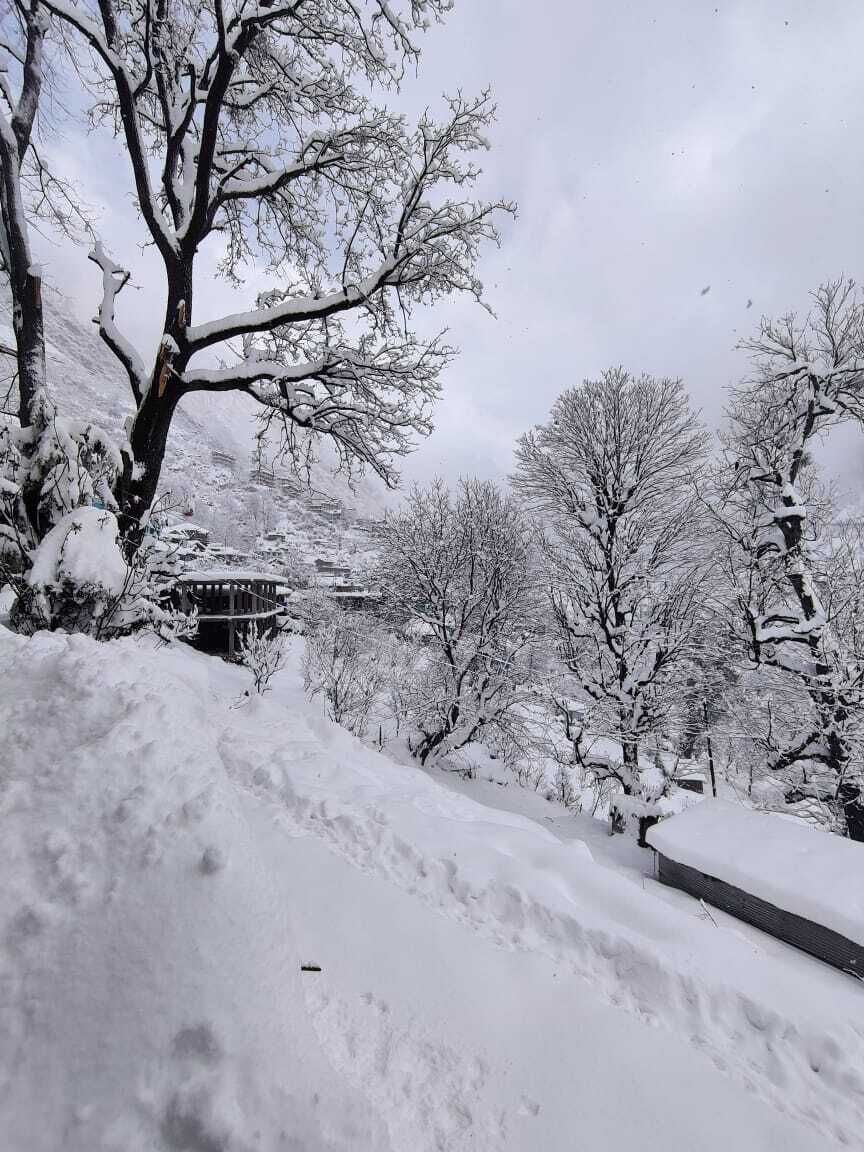 A snow-covered landscape with bare trees and a traditional building structure.