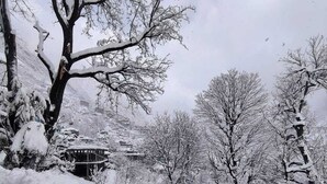 Schneeverdeckte Landschaft mit kahlen Bäumen und traditioneller Bauweise.