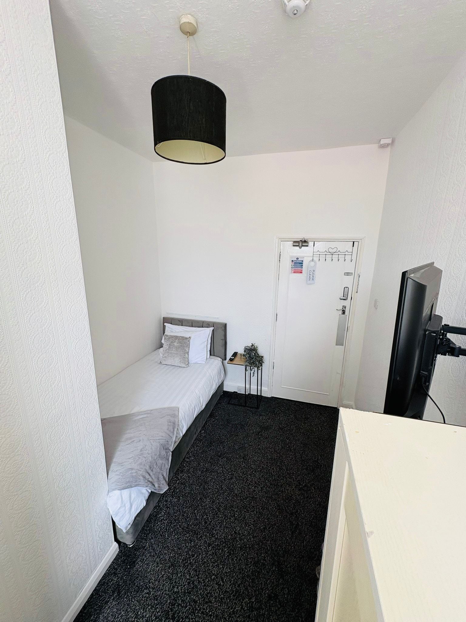 A small, single-bed room with a grey carpet, a bedside table with a plant, a black lamp, and a television on a stand.