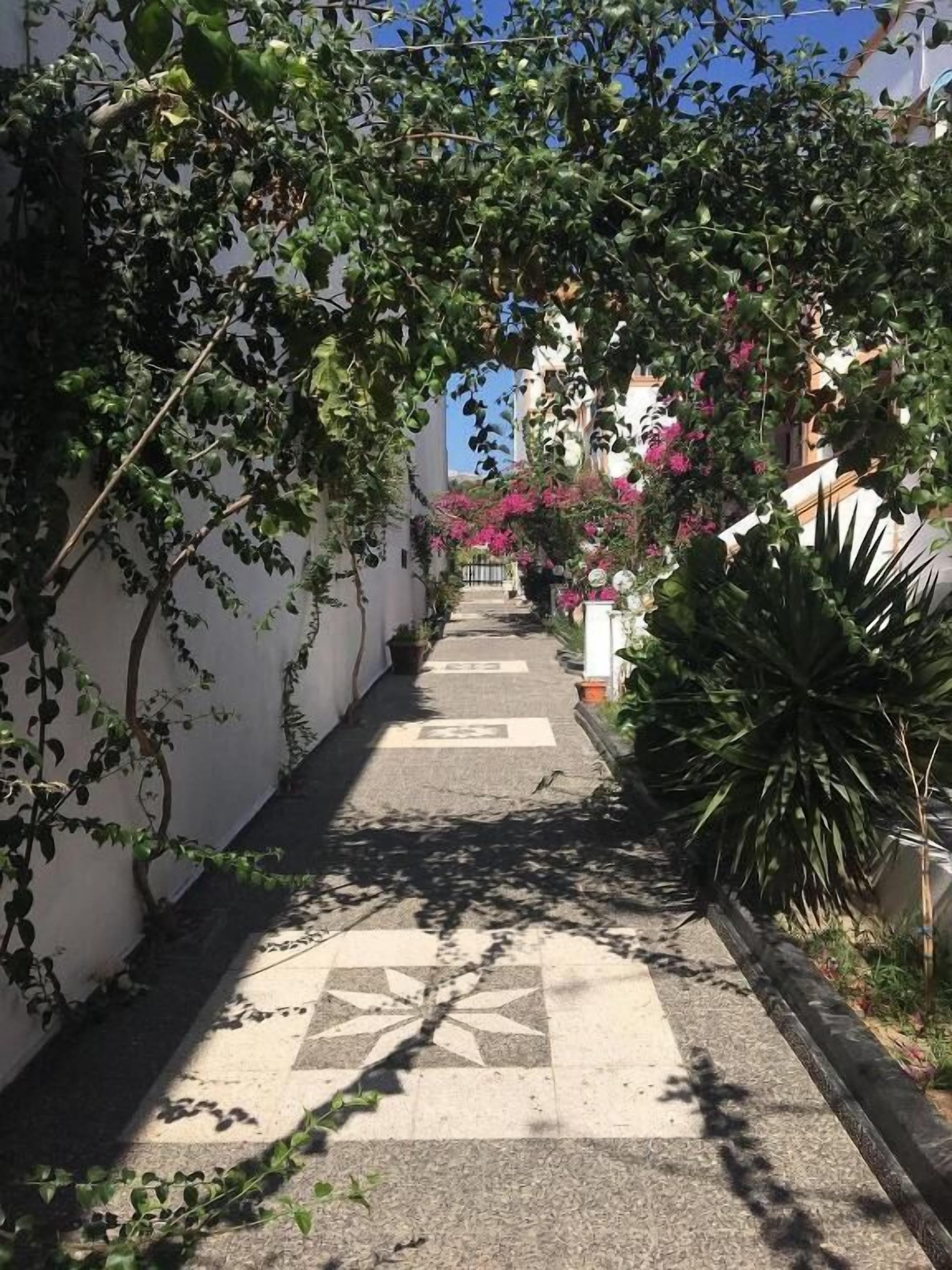Área da propriedade
