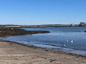 A coastal scene with a bridge, rocky shoreline, and seagulls.