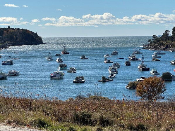 A coastal scene with numerous boats on the water, a hilly shoreline, and a clear sky.