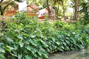 Ein Blick auf einen Fluss mit einer Reihe moderner Blockhütten, umgeben von üppiger Vegetation und Bäumen.