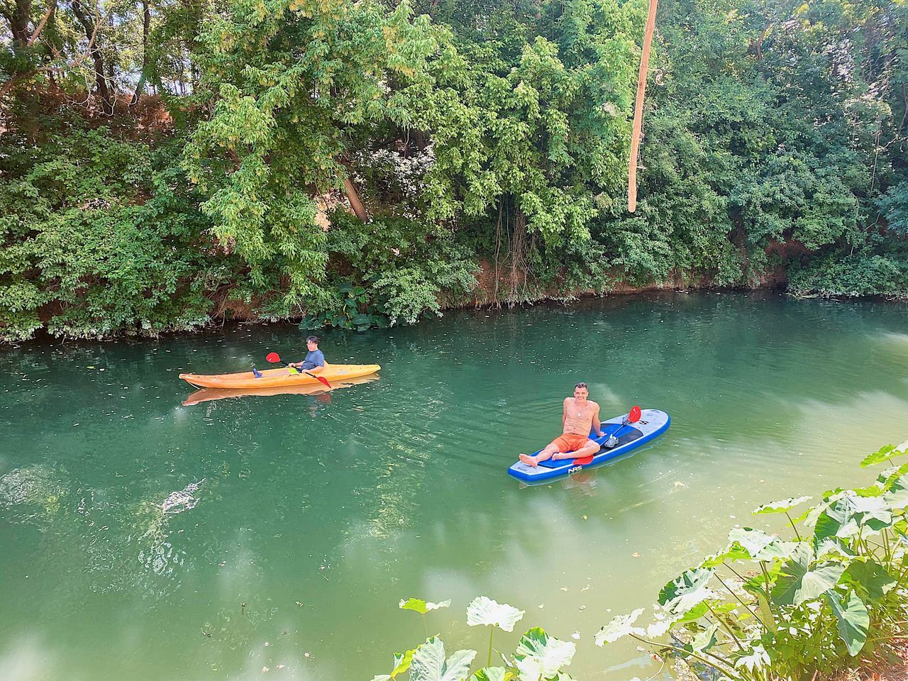 Two kayaks on a calm river surrounded by dense greenery.
