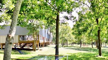 Terrein van de accommodatie