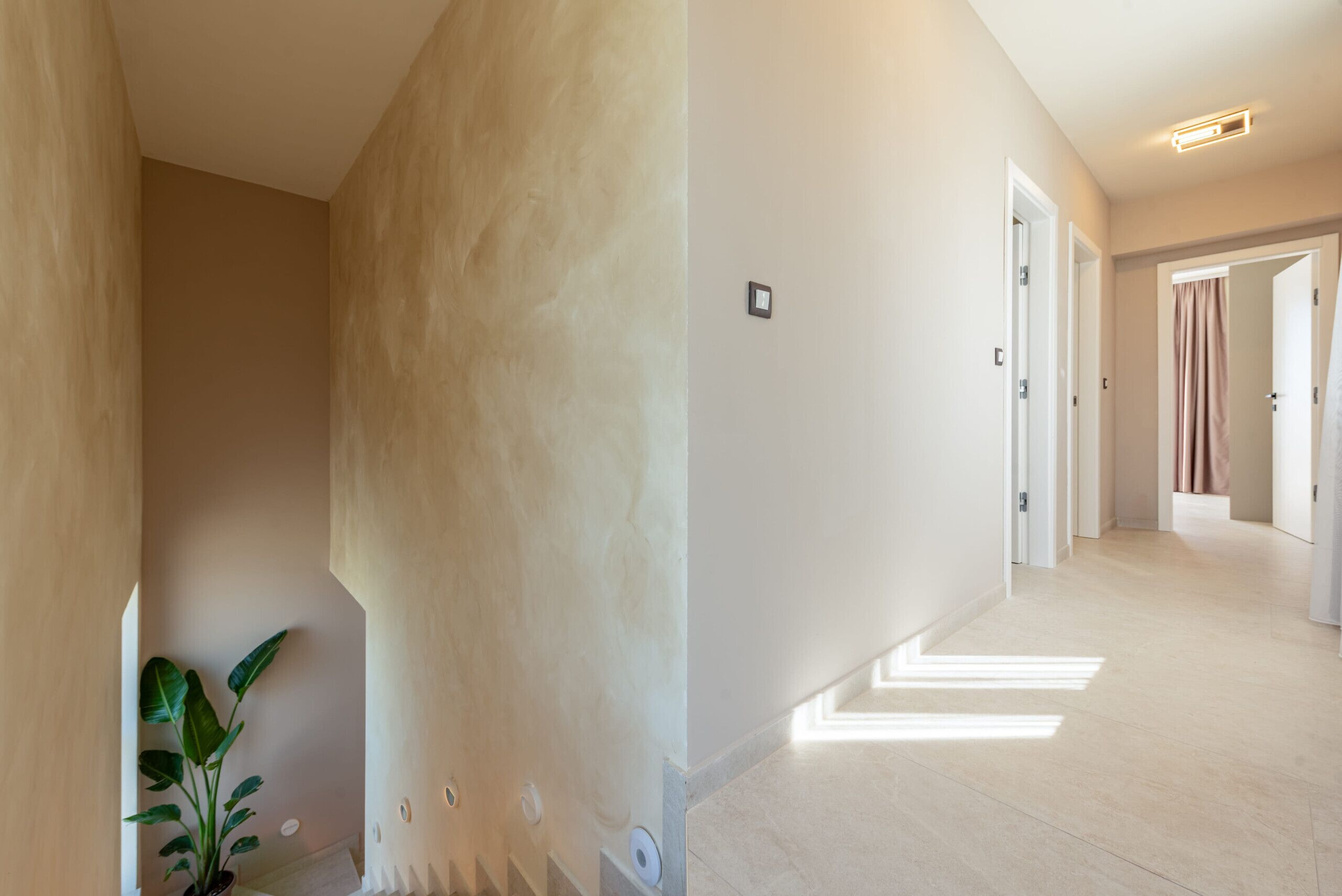 A hallway with a plant, a light switch, and a door.