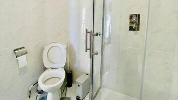 A bathroom with a toilet, a shower, and a glass-enclosed shower stall.