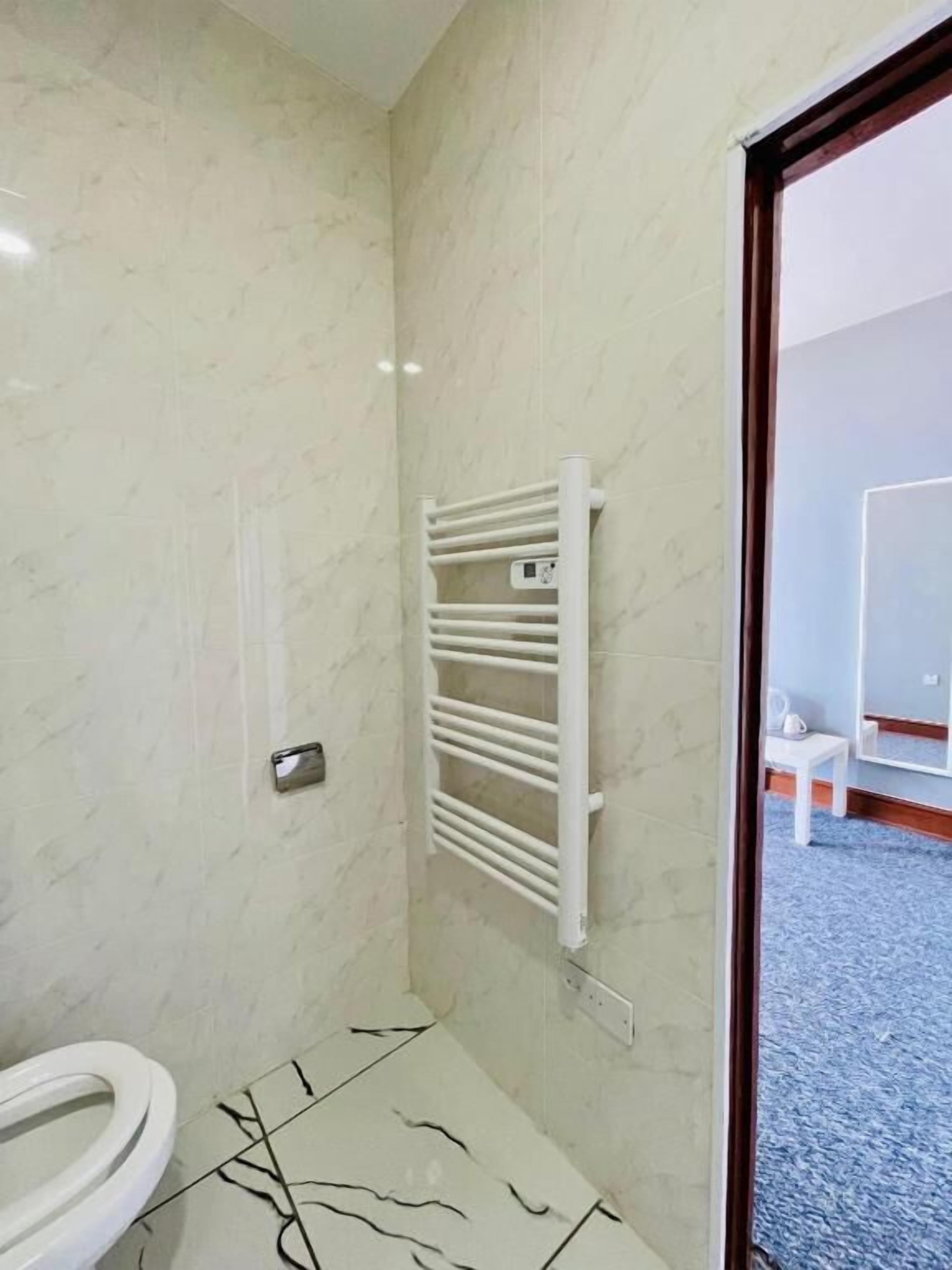 A bathroom with a white toilet, a towel rack, and a mirror.