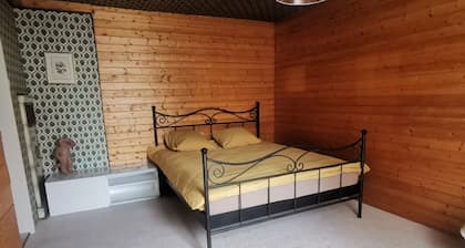 Phenomenal 5-bedroom apartment in charming Thun awaits you