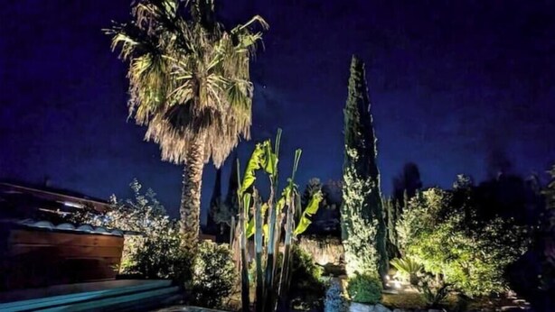 Un bain à remous entouré de plantes tropicales et bordé d’un mur de pierre, le tout illuminé la nuit.
