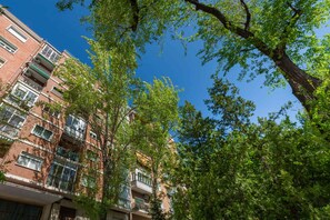 Un immeuble à plusieurs étages, doté de balcons et entouré d’arbres.