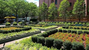Property grounds - NYC Short-Stay Room Steps away from Central Park, Events & Museums (New York)