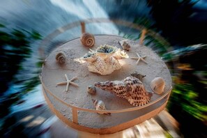 A circular display with seashells and starfish. - Seaside Plitra Paradiso - Steps From the Beach (Monemvasia)
