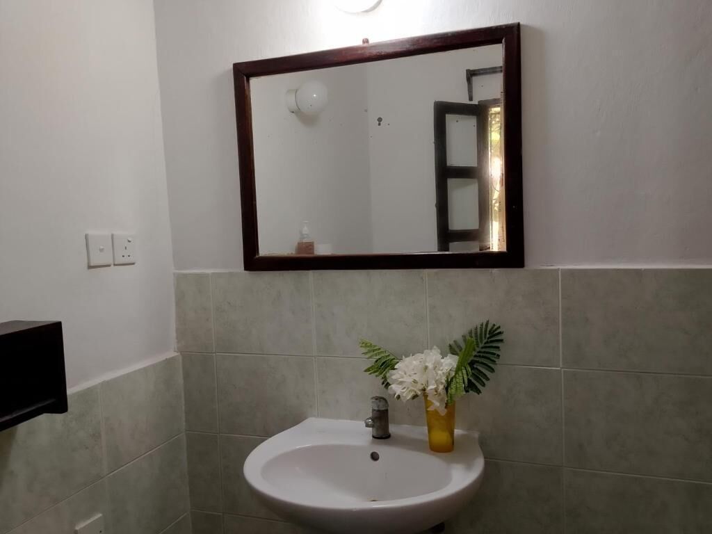 Une salle de bain avec un lavabo blanc, un miroir à cadre foncé et un vase rempli de fleurs.