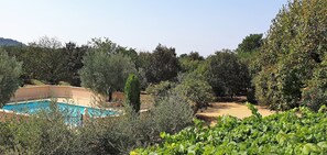 Pool - Vrbo Property (Bollène)