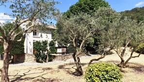 Exterior - Vrbo Property (Bollène)